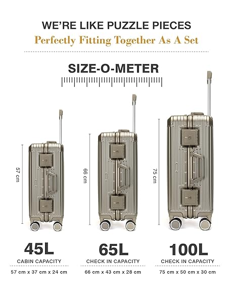 Travel Luggage Check-in ZIPLESS Suitcase with 8 StealthTech Silent Wheels, Double TSA Locks & Aerospace Grade Wide Trolley (Chromedust, Cabin 20")