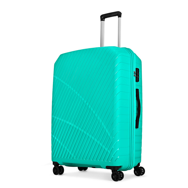 Large Size (Check-in) Hard Case Trolley Bag